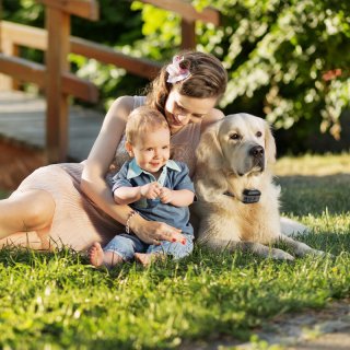 GPS WIRELESS DOG FENCE D010 FOR MEDIUM AND LARGE DOGS GPS WIRELESS DOG FENCE D020 FOR MOST OF DOGS GPS WIRELESS DOG FENCE FOR 2 DOGS